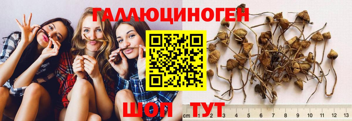 Галлюциногенные грибы Cubensis  Вход с VPN  Сургут 